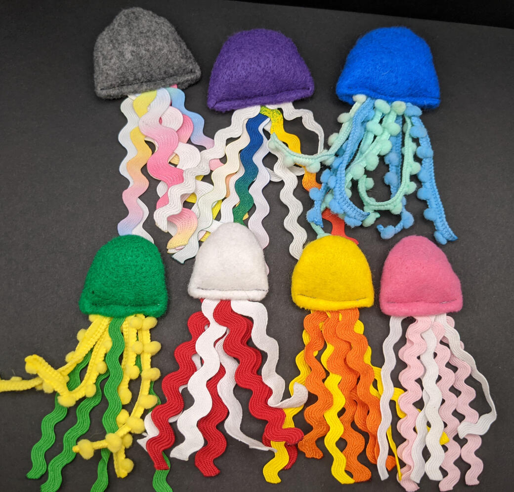 Jellyfish Jellyfish
